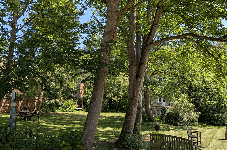bench in shade