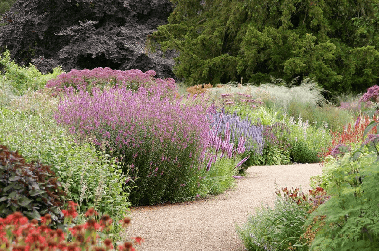 imagined flower path